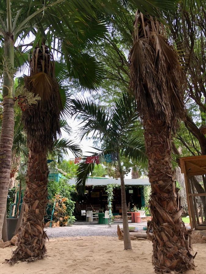 Tropical Morabeza Apartment سانتا ماريا المظهر الخارجي الصورة